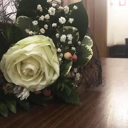 роди * סיליסטרה