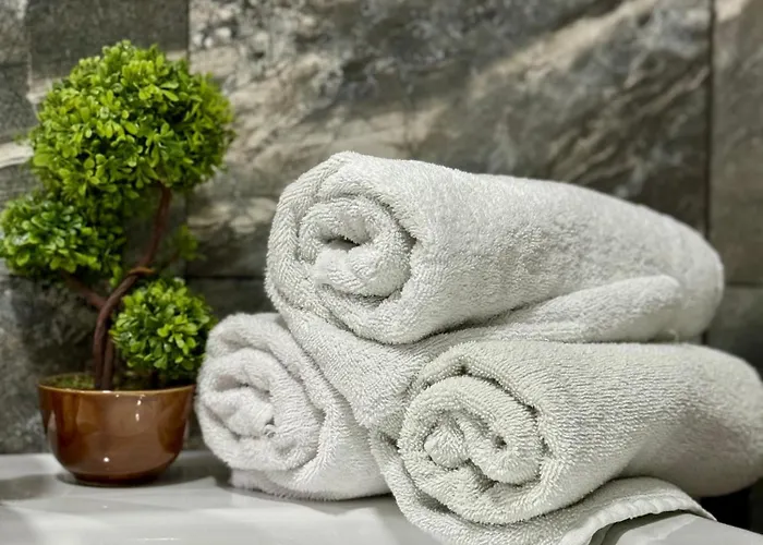 роди סיליסטרה