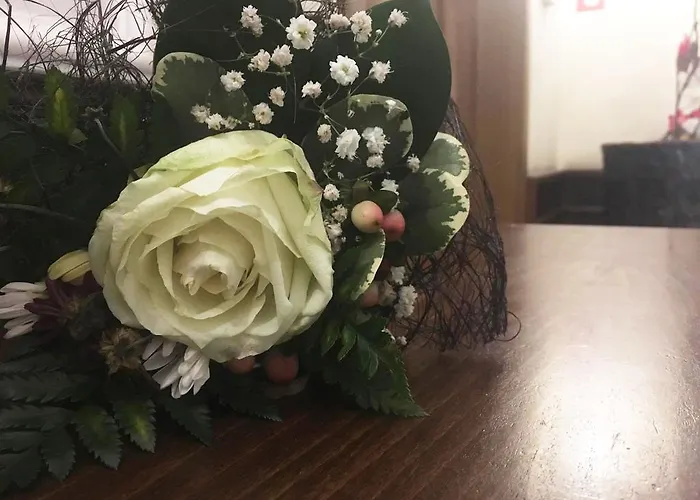 роди * סיליסטרה